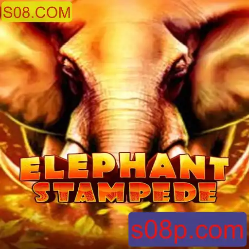 Descubra o emocionante mundo de ElephantStampede e sua conexão com S08.COM